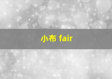 小布 fair